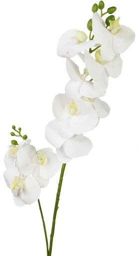 Storczyk/orchidea biały 85cm