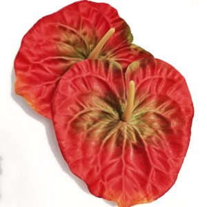 kwiat wyrobowy - anturium czerwono-zielone