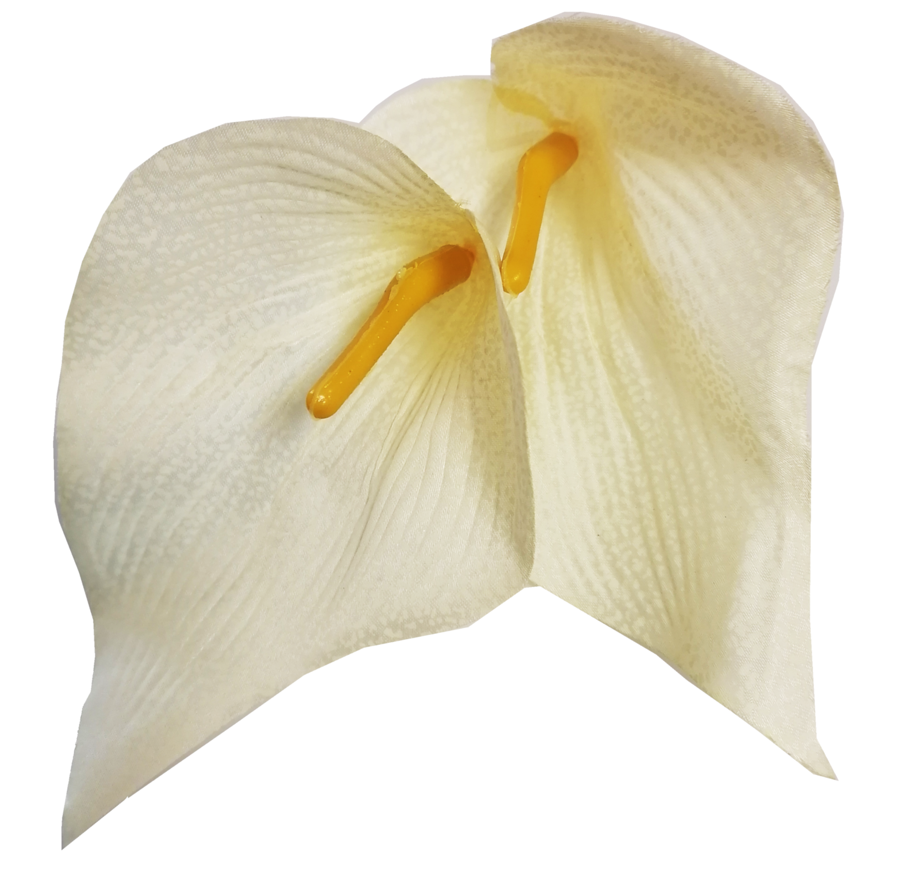 Kwiat wyrobowy - kalla kremowa