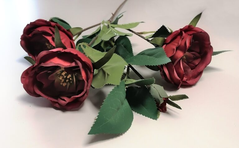 PIWONIA NA ŁODYDZE czerwona