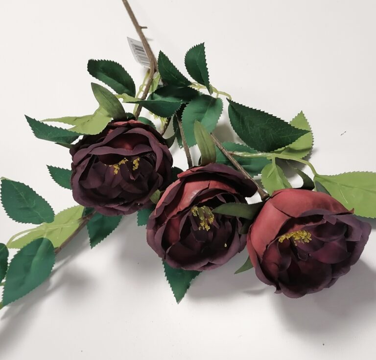 PIWONIA NA ŁODYDZE BORDOWA