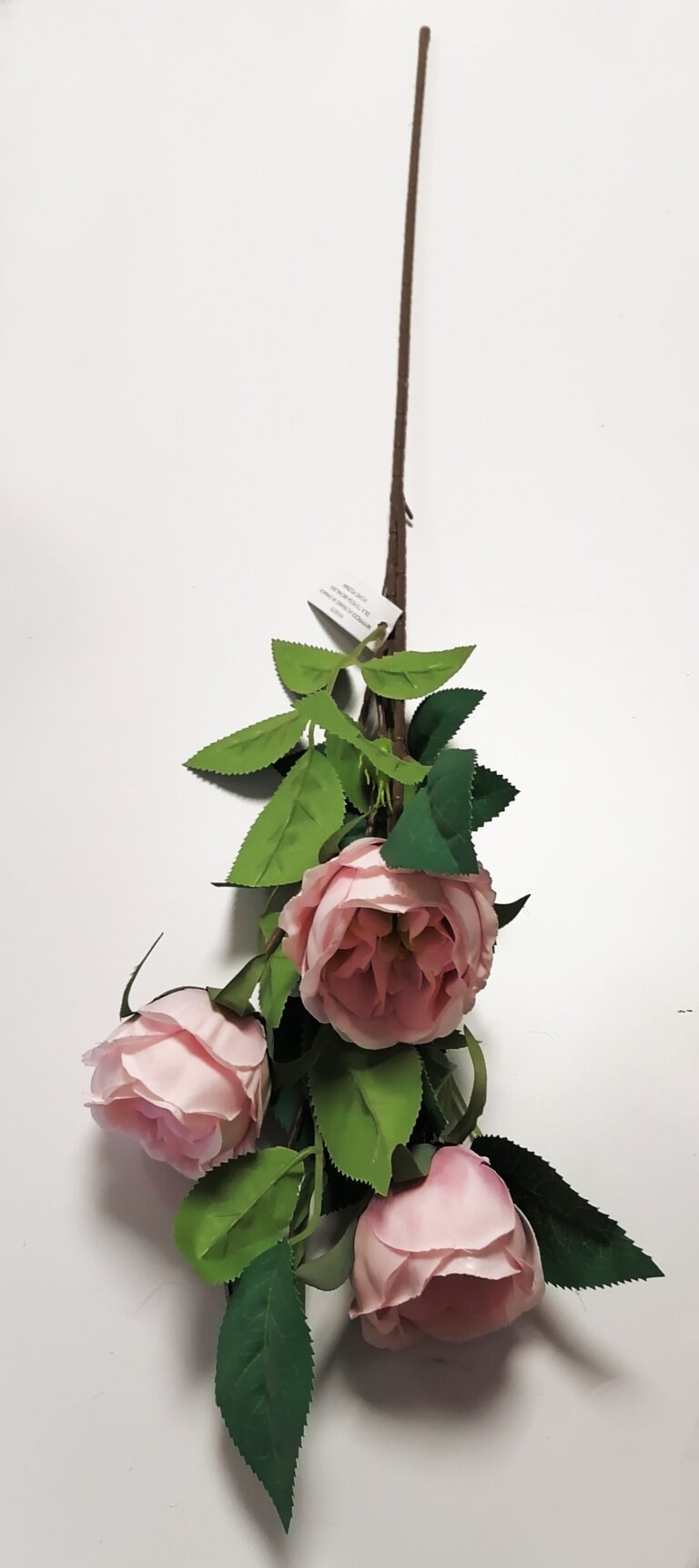 PIWONIA NA ŁODYDZE pudrowy róż